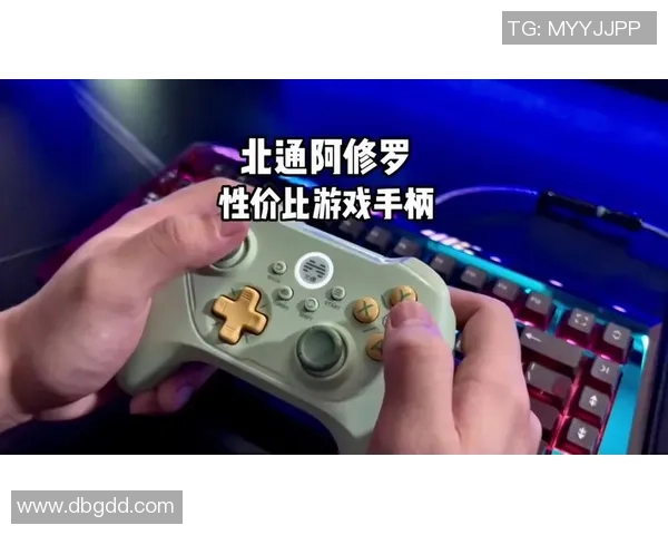 游戏外设测评手柄与键盘的性价比分析是否值得入手